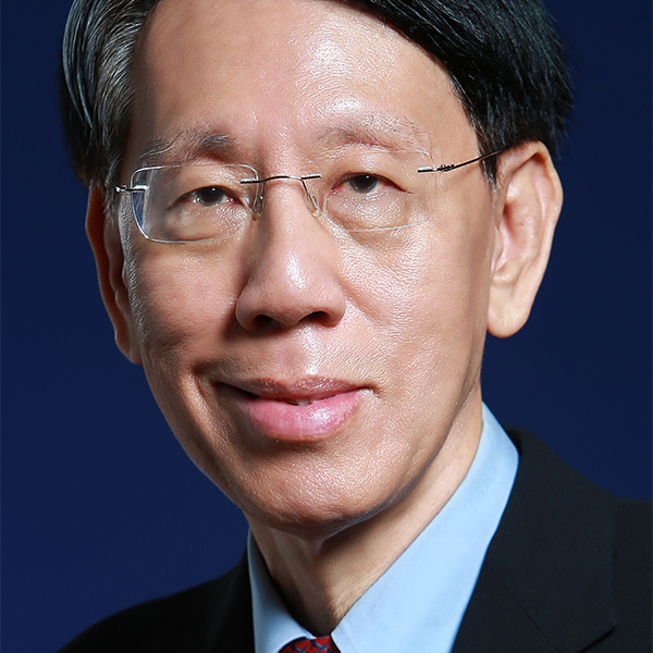 Yap Boh Tiong, Overseas Director & Advisor